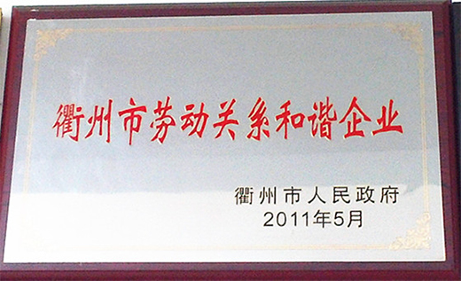 2011年(nián)榮獲衢州市政府“衢州(zhōu)市勞動關(guān)係和諧企業(yè)”